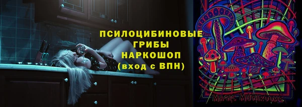 а пвп мука Алзамай