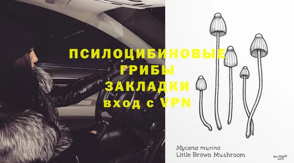 индика Алексеевка