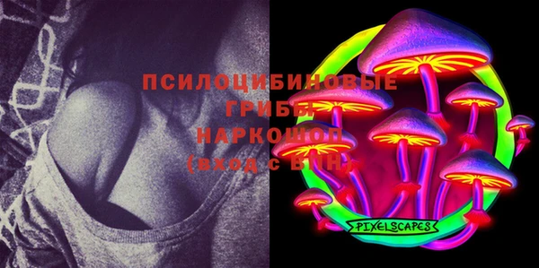 а пвп мука Алзамай